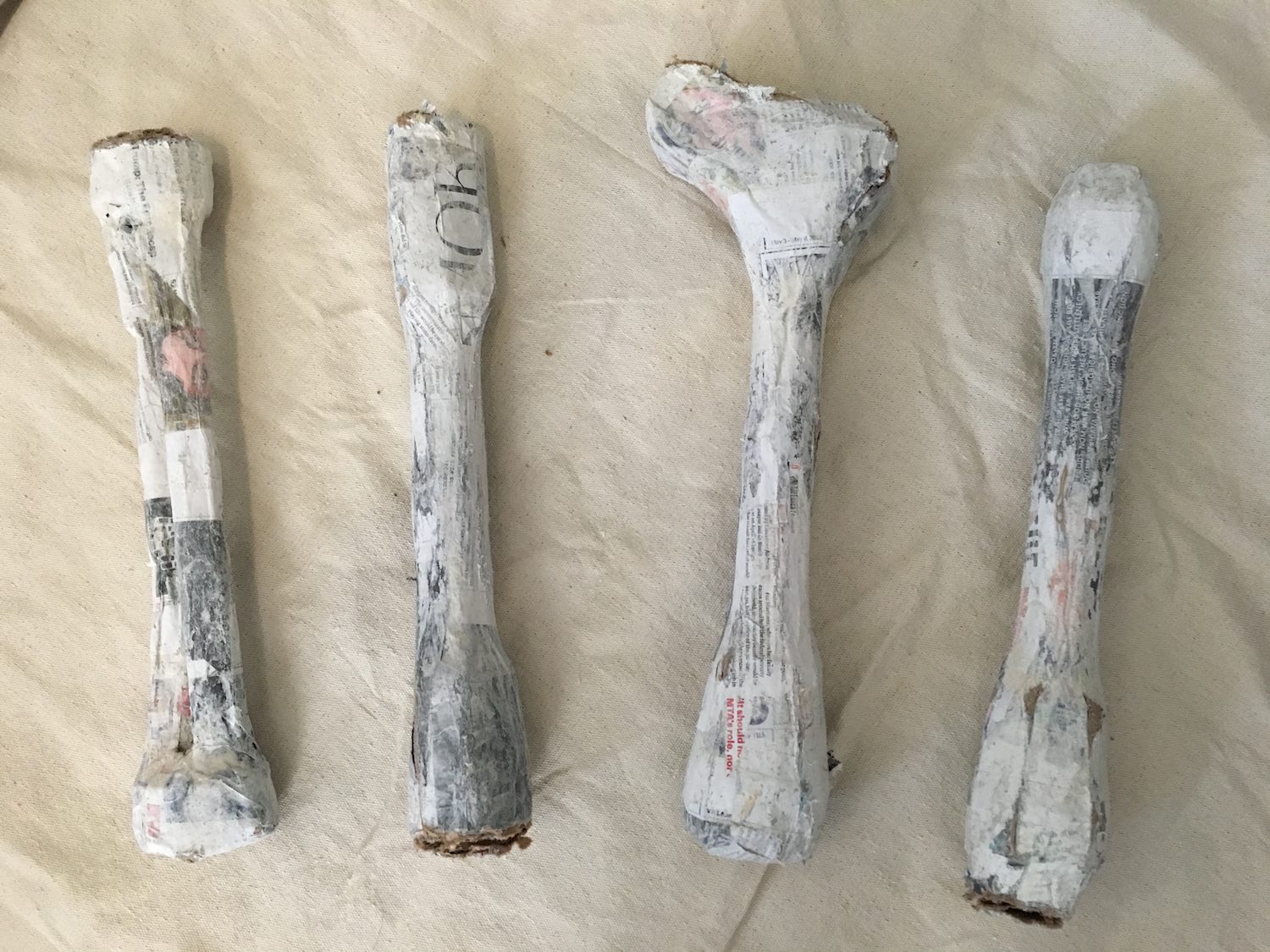 Four papier-mâché limb bones lying side by side