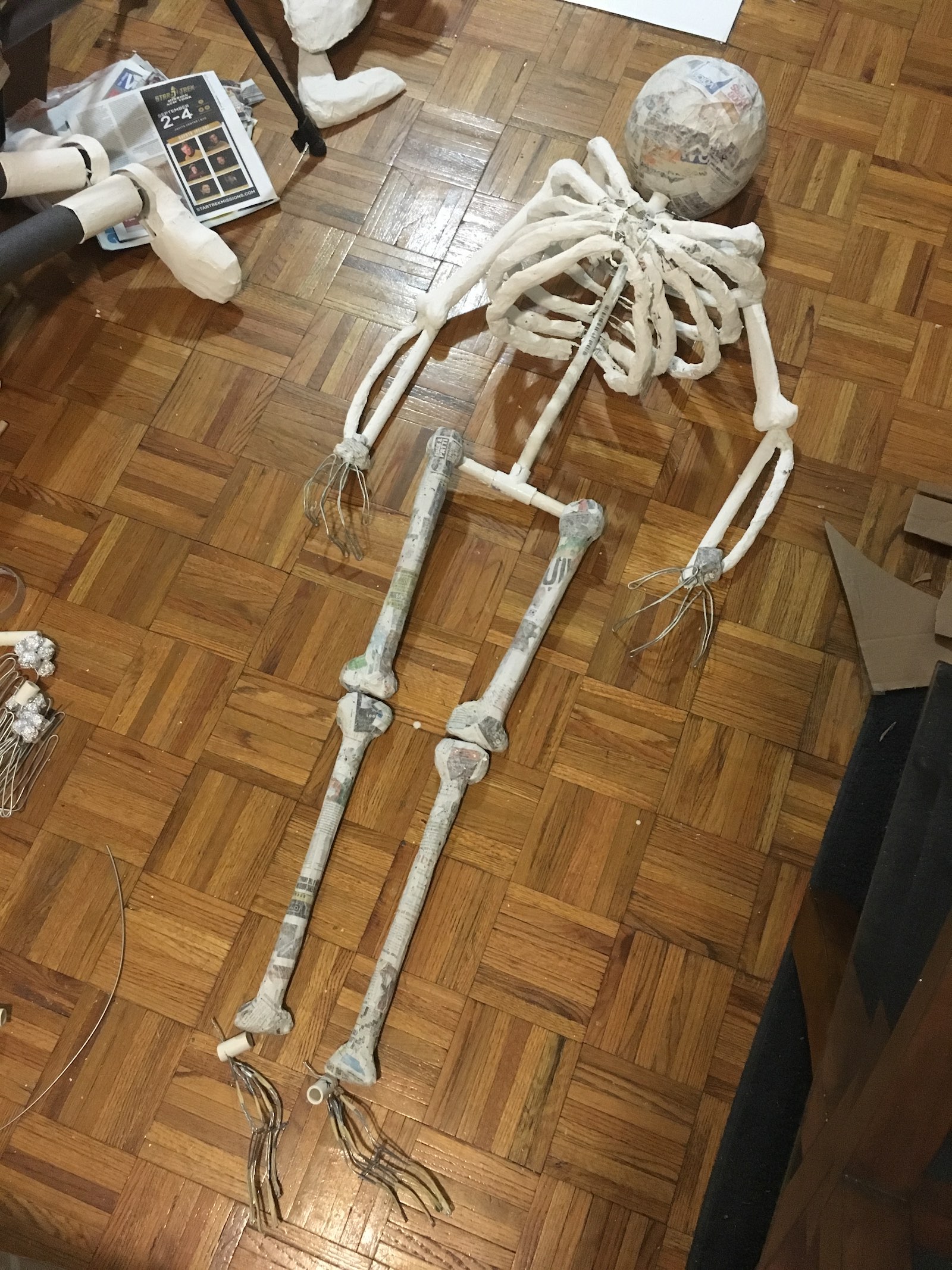 Most of one of the skeletons, laid out on the floor