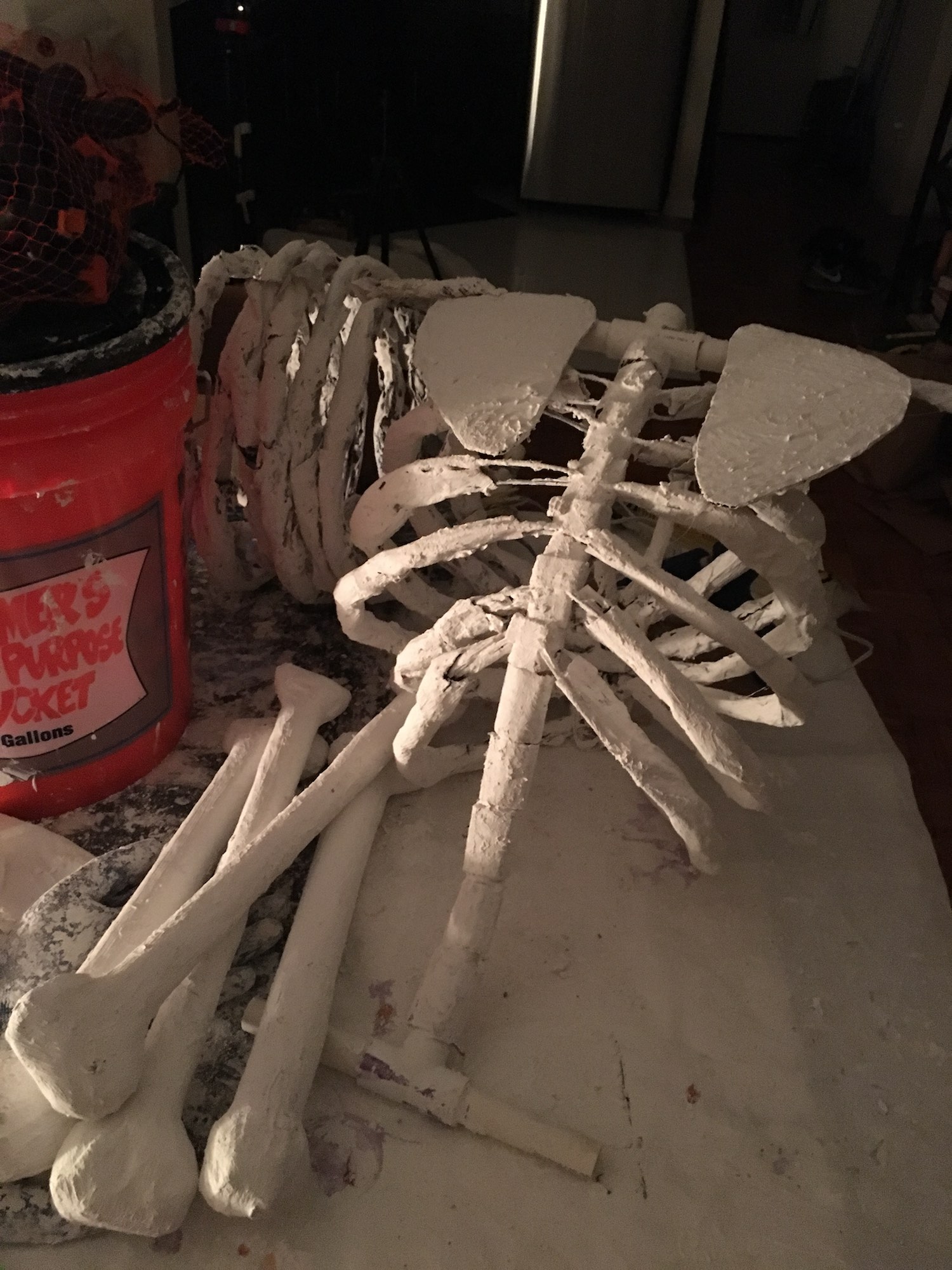 The first skeleton's ribcage, now roughly complete