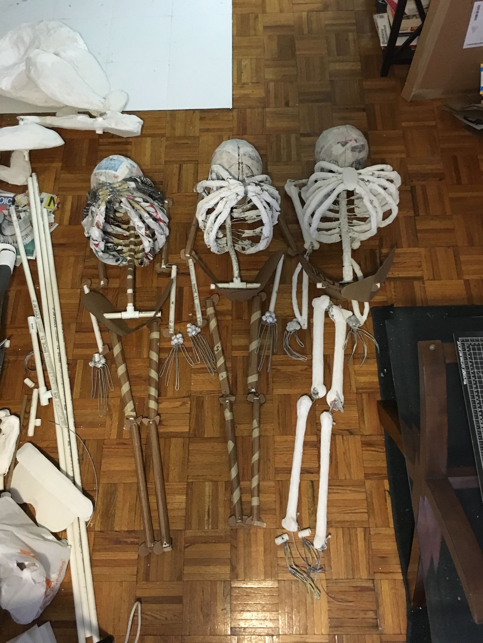 Three mostly-complete skeletons, laid out on the floor