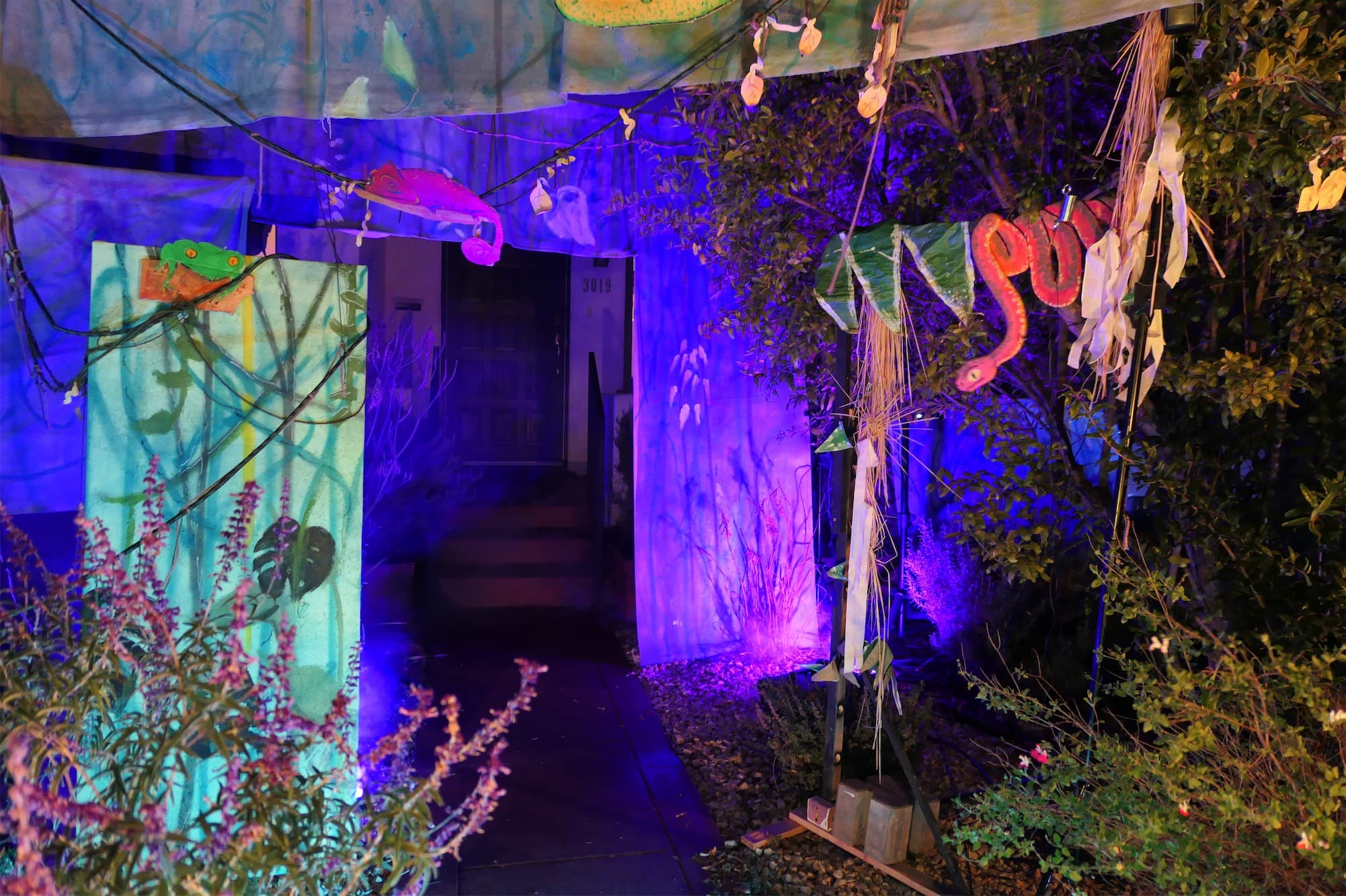 Peril on Petite Court: Lemurs!