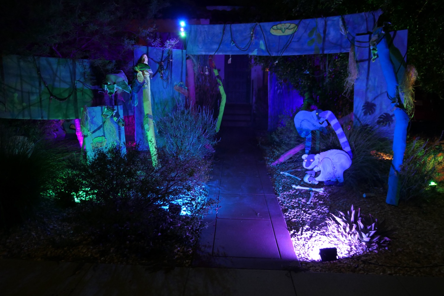 A photo taken late at night of a colorful jungle installation in my front yard.