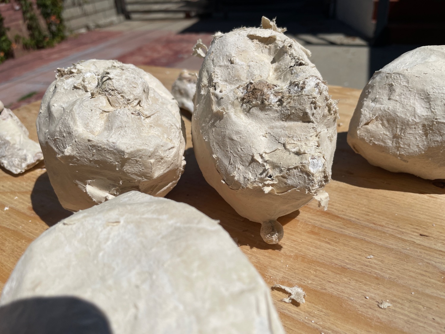 A close-up of some paper mache parts that have been lightly shredded by the little teeth of unknown critters