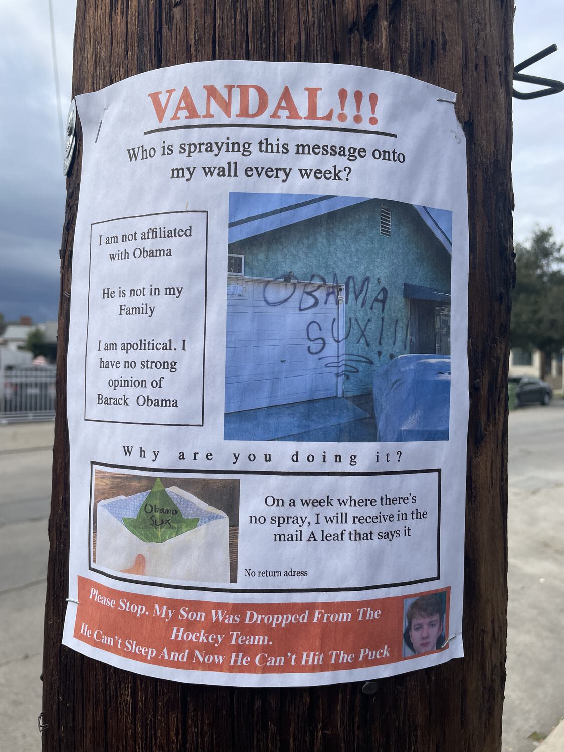 A flyer stapled to a telephone pole about a vandal