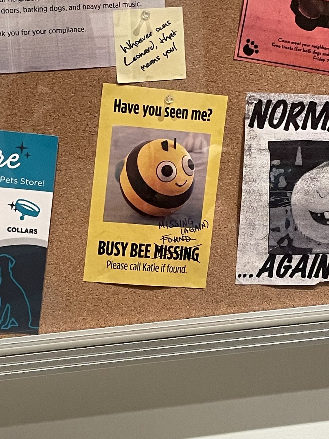 A poster on a bulletin board that reads "Have you seen me? Busy Bee Missing - Please call Katie if found." Missing is crossed out and replaced with "Found," which is also crossed out and replaced with "Missing (again)"