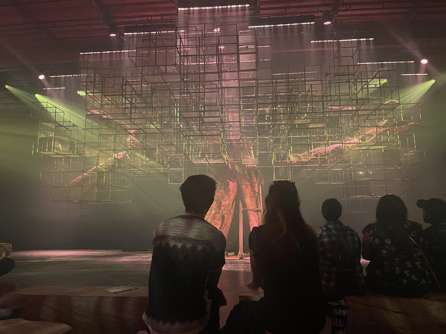 A large, no-longer-living tree, mounted in a warehouse and surrounded by a framework of metal scaffolding, artfully lit