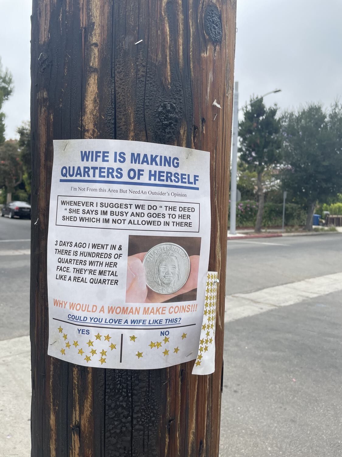 A chaotic poster stapled to a telephone pole. It reads WIFE IS MAKING QUARTERS OF HERSELF - I'm Not From this Area But Need an Outsider's Opinion - WHENEVER I SUGGEST WE DO 