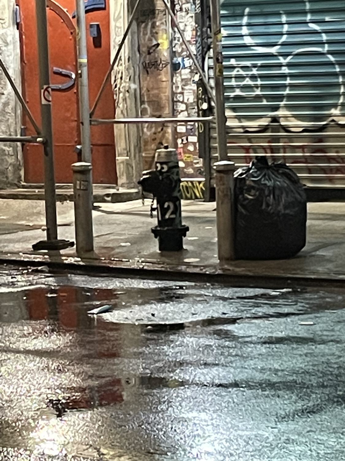 A fire hydrant with eyes, as seen from across a wet street