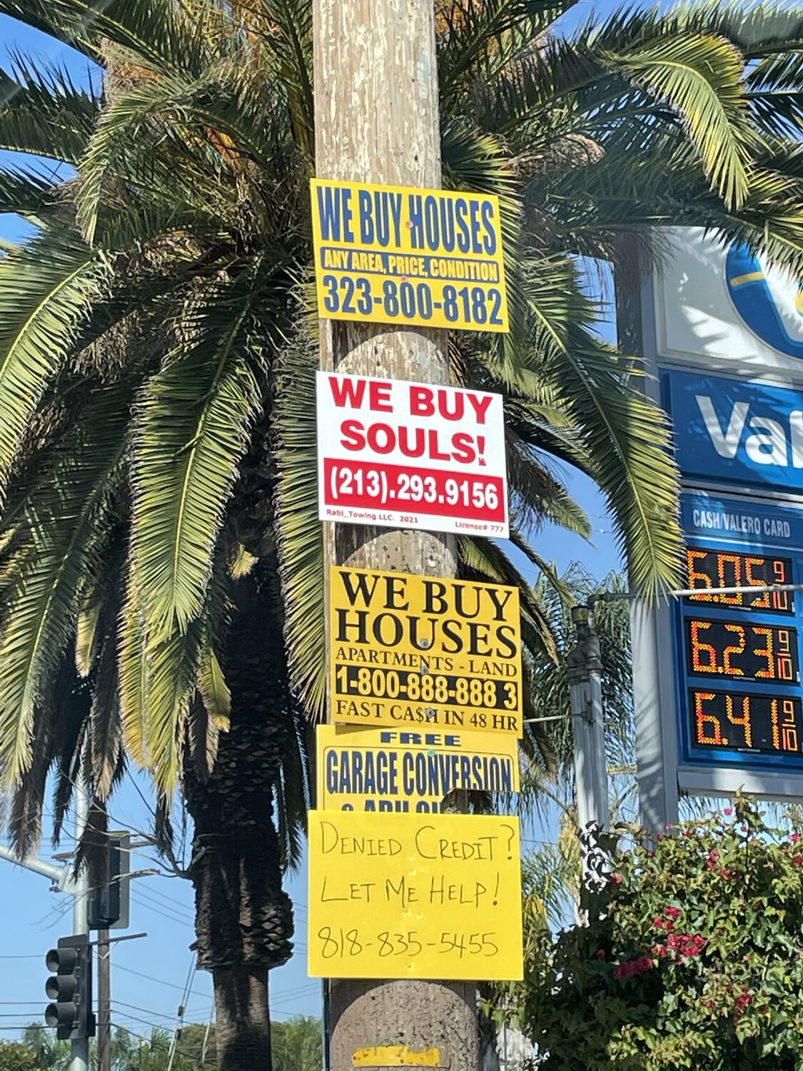 Signs posted on a telephone pole: "We buy houses" "We buy souls!" "We buy houses" "Free garage conversion" "Denied credit? Let me help!"