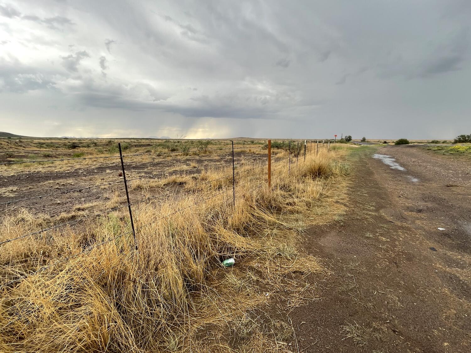 A desolate dirt road outside of Marfa. Some yellowing tall grass emerges from the mud.