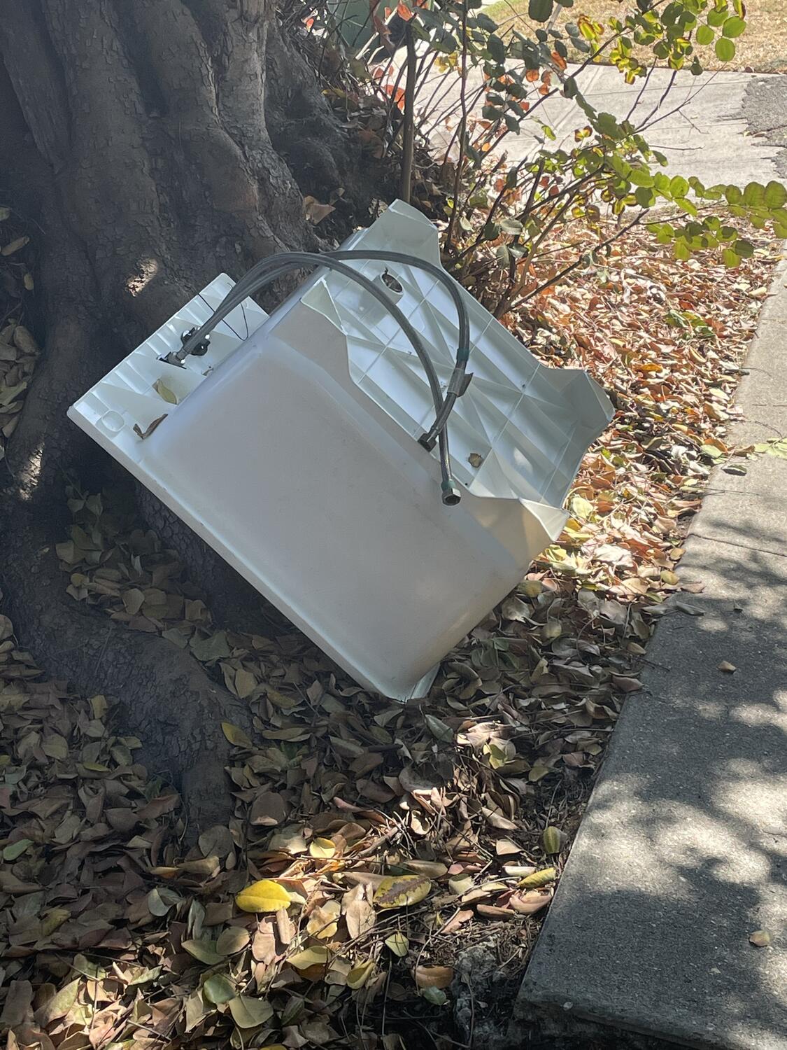 A large slop sink overturned on the street, leaning against a tree trunk. Seems like it's still in good condition.