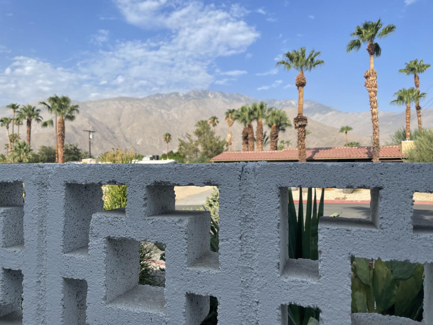 The mountains of Palm Springs in the distance, a modern stone fence in the foreground, and lots of happy palm trees between