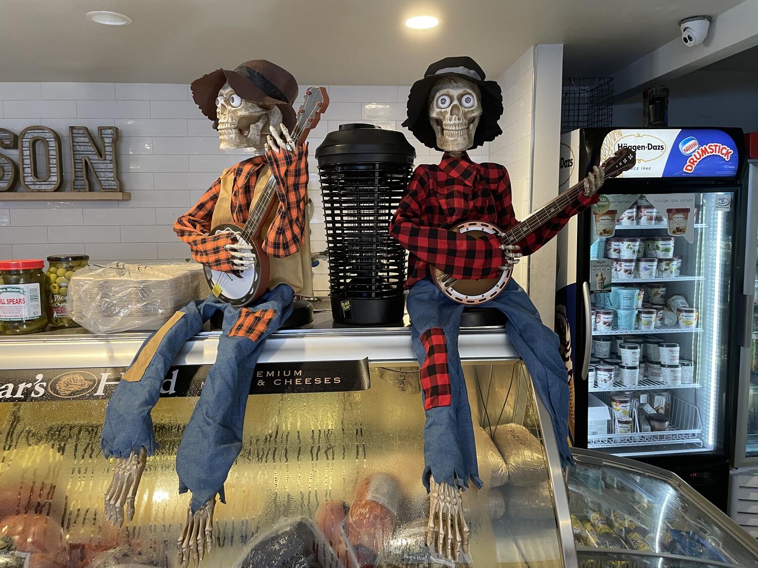 Two skeletons sitting atop a deli case. They have matching floppy hats, flannel shirts, patched jeans, and banjos.