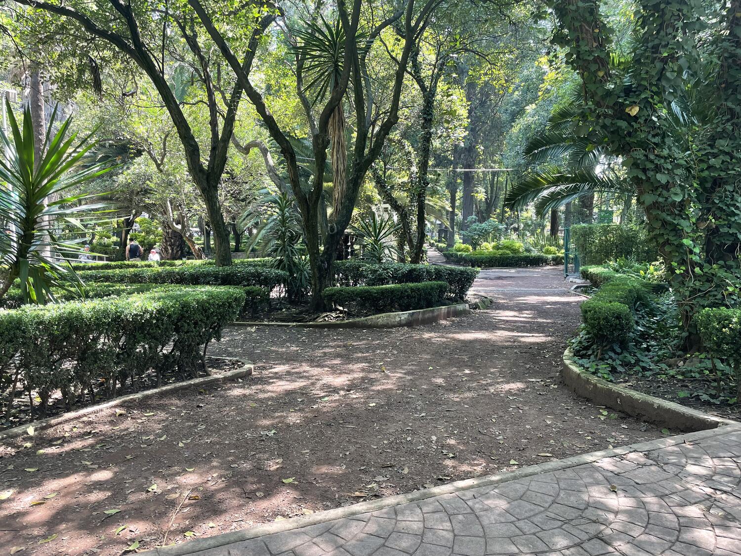 A dramatic park, small in scale but dense with trees and manicured bushes