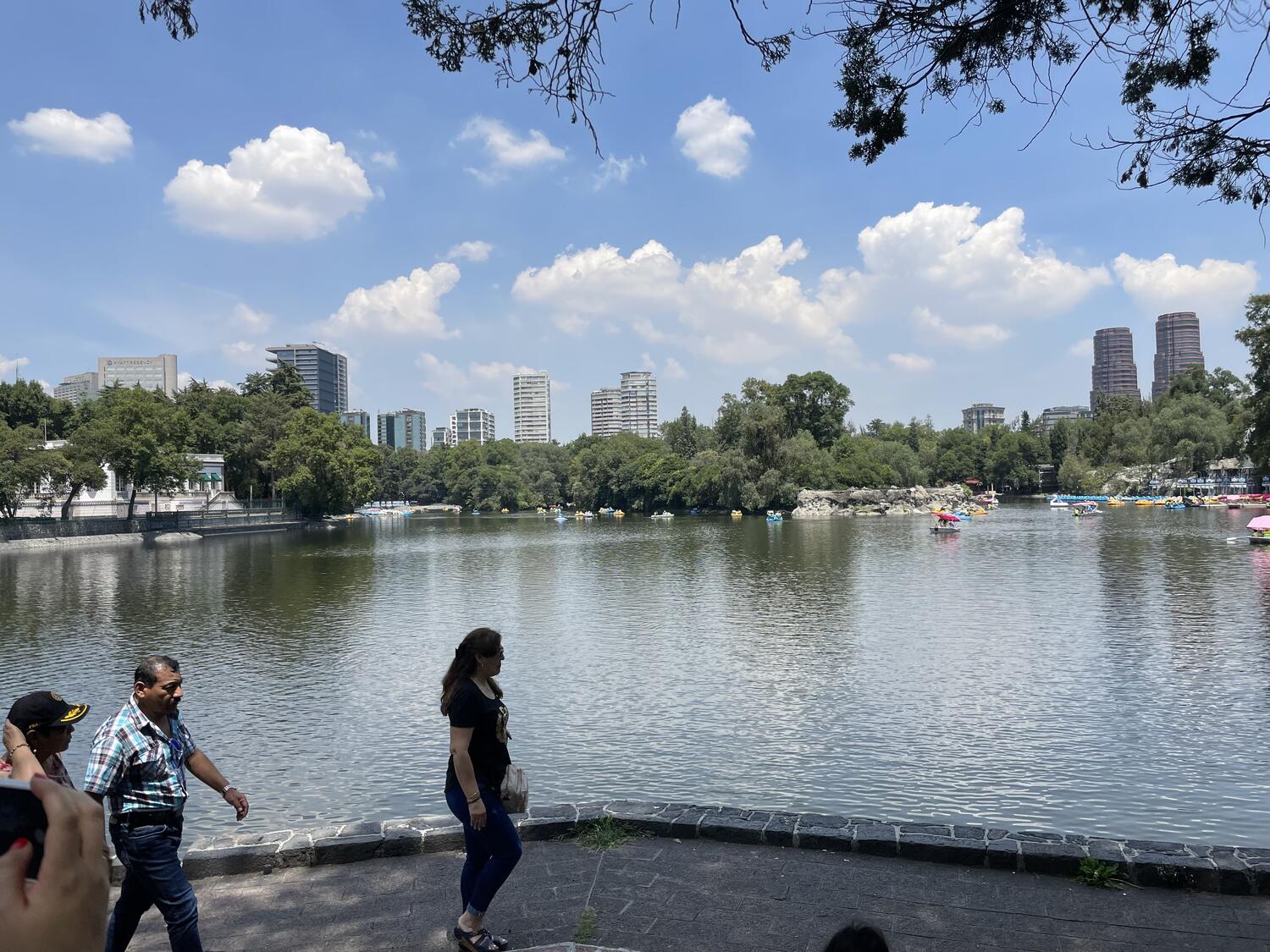 A big lake in a park. Some people are walking by, and in the background there are lots of trees and a few tall buildings against a bright blue sky