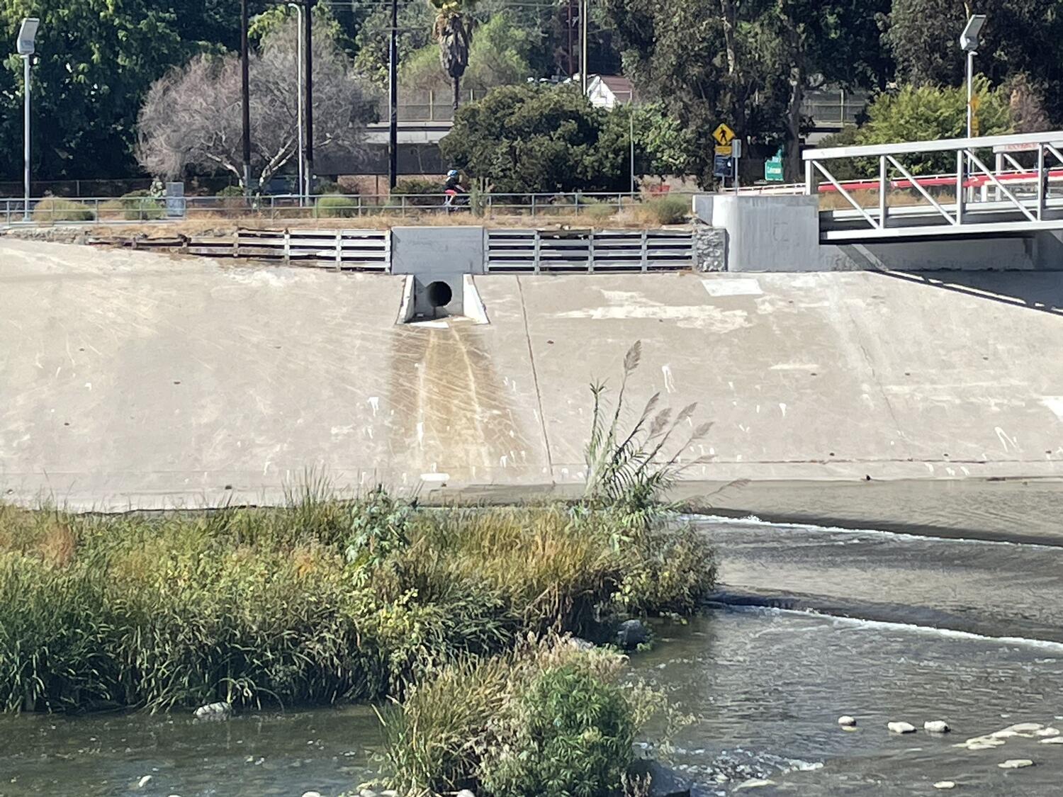 A long shot of a section of the bank of the LA river. There's a dry outlet hole of some kind, the water level is very low, but there's tall grasses growing.