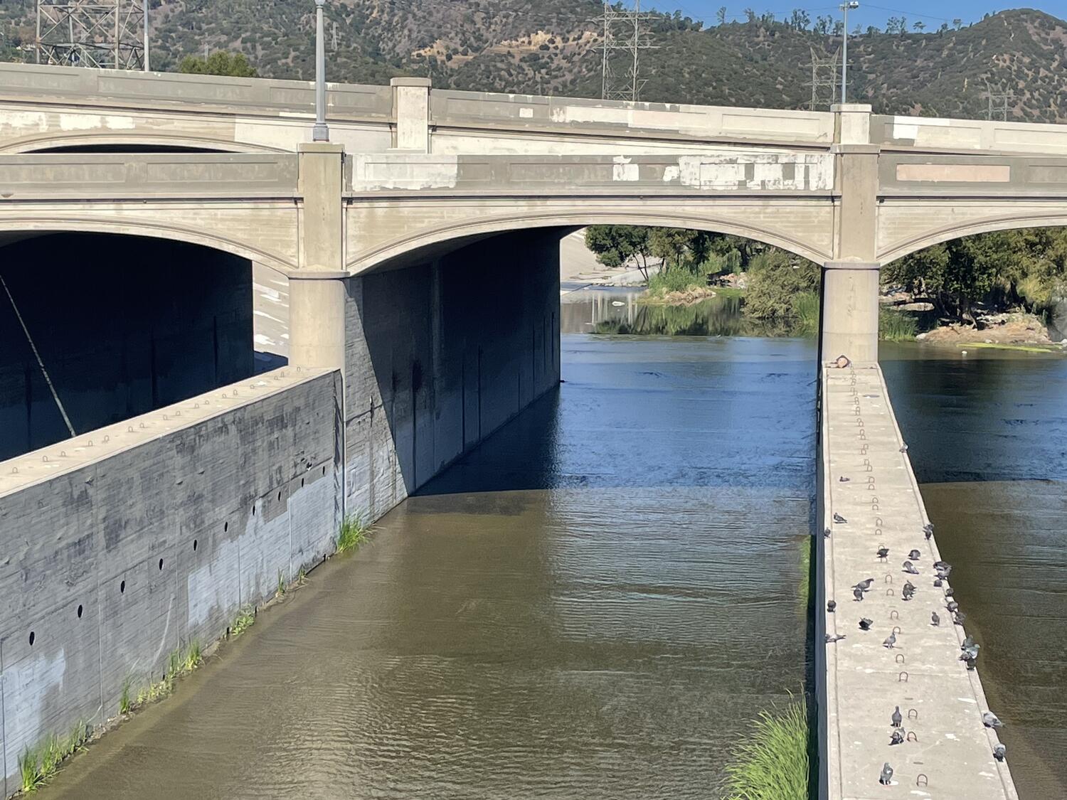 A close look at one of the arches that makes of the span of the Glendale-Hyperion Bridge. Some pigeons are gathered on a support wall to one side, and there's a little vegetation growing where the walls meet the water.