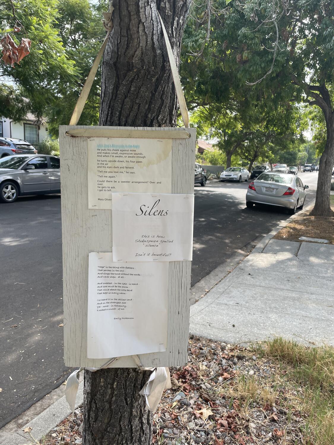 A weathered plywood board painted white and tied to the limb of a tree with a discolored white ribbon. Three printed sheets of what appears to be poetry are stapled to the board; the only readable one at this distance says “Silens - this is how Shakespeare spelled ‘silence’ - isn't it beautiful?”