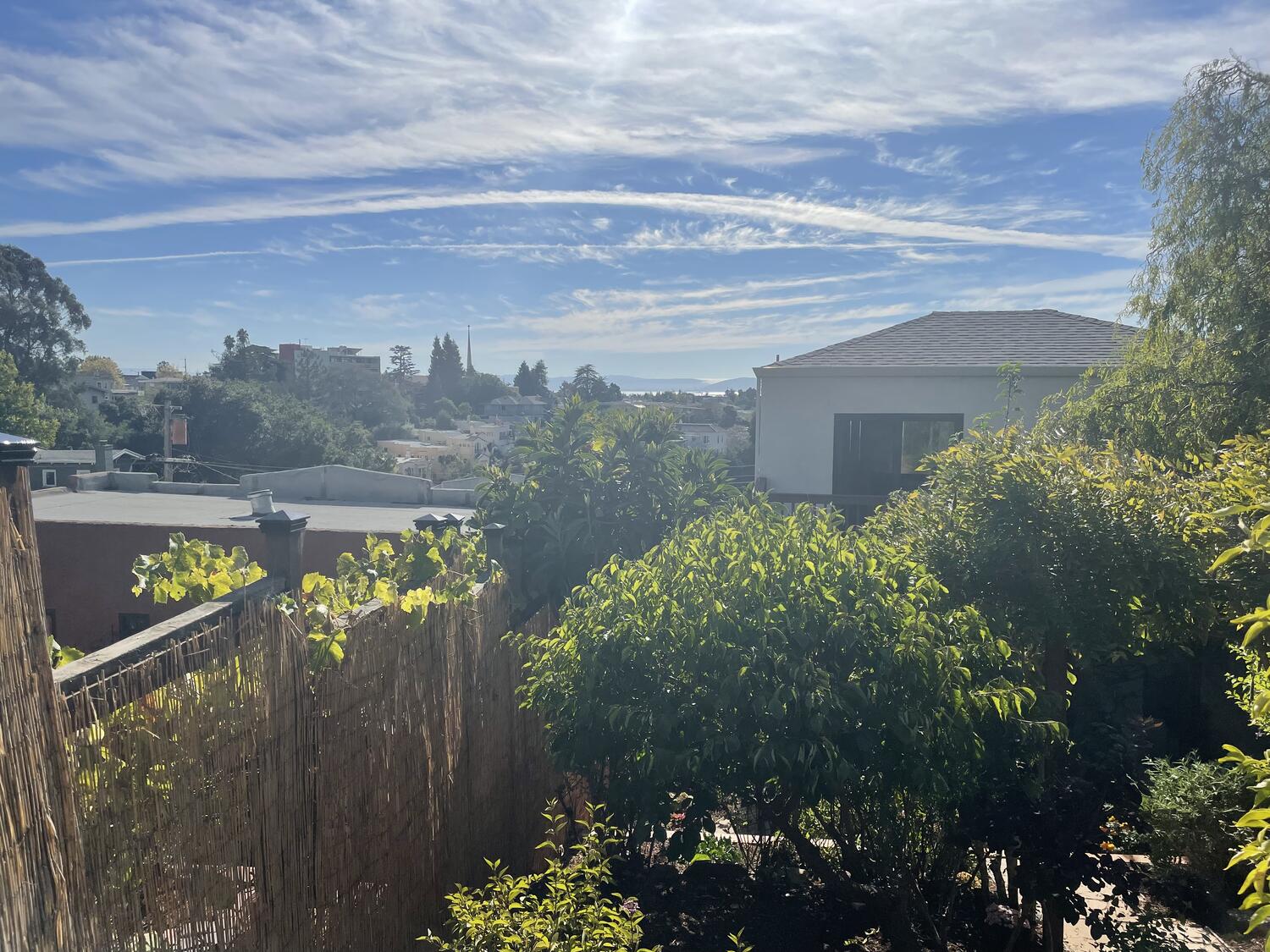 A shot from high up in a backyard, looking out at a bright blue sky and the Bay in the far distance. Lots of healthy trees in the middle ground.