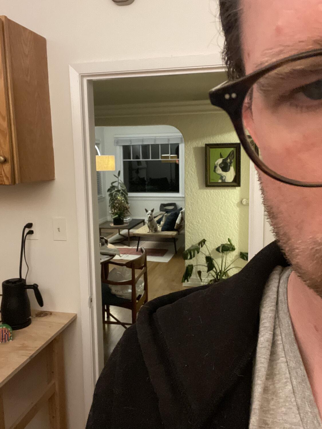 A selfie where my face is mostly out of frame. Behind me is a long perspective through the house, and in the far background is Travis Barker the Dog watching me from the sofa.