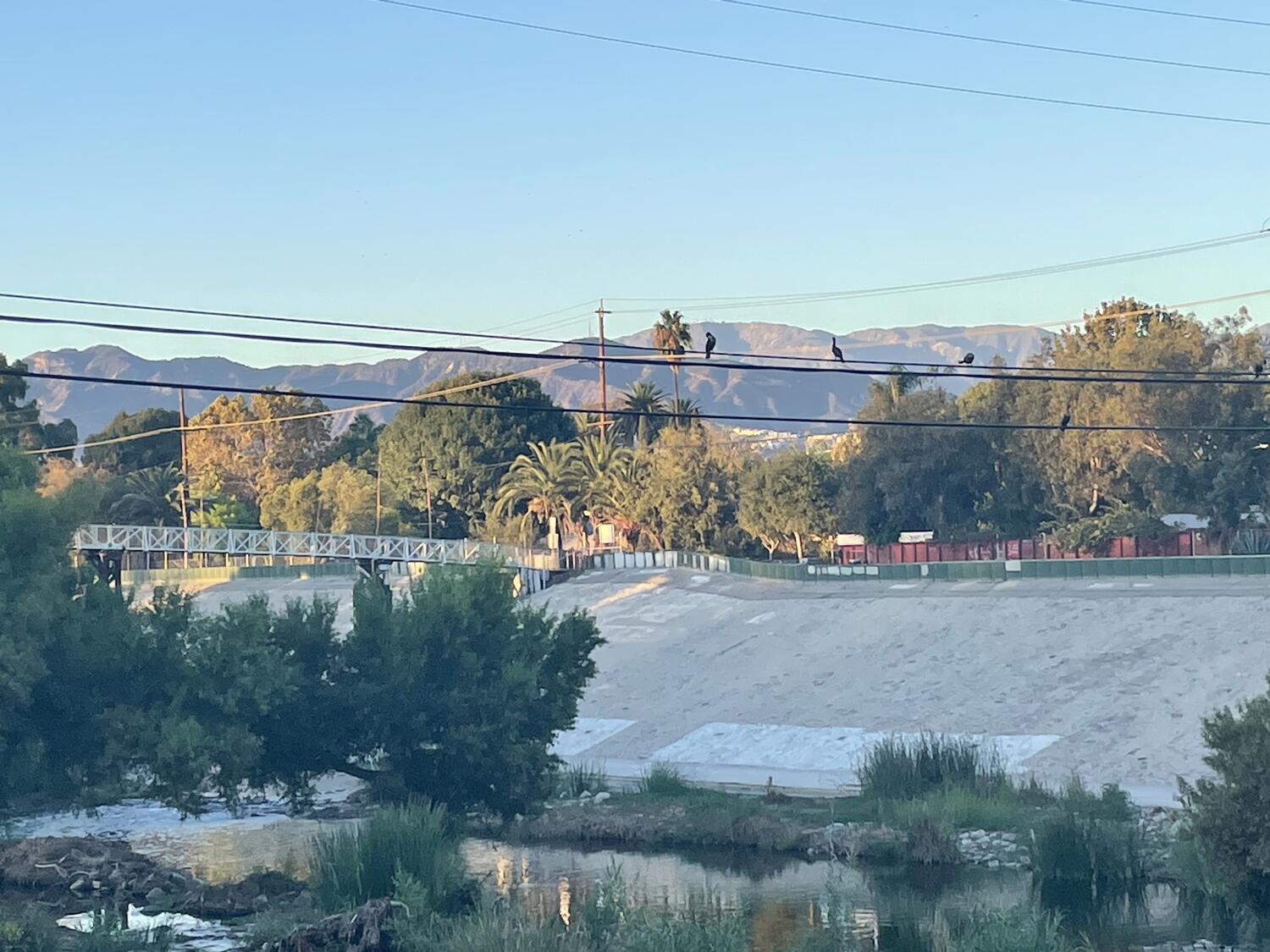 The distant bank of the LA river. Mountains in the background, and birds perched on the wire above the shallow water.