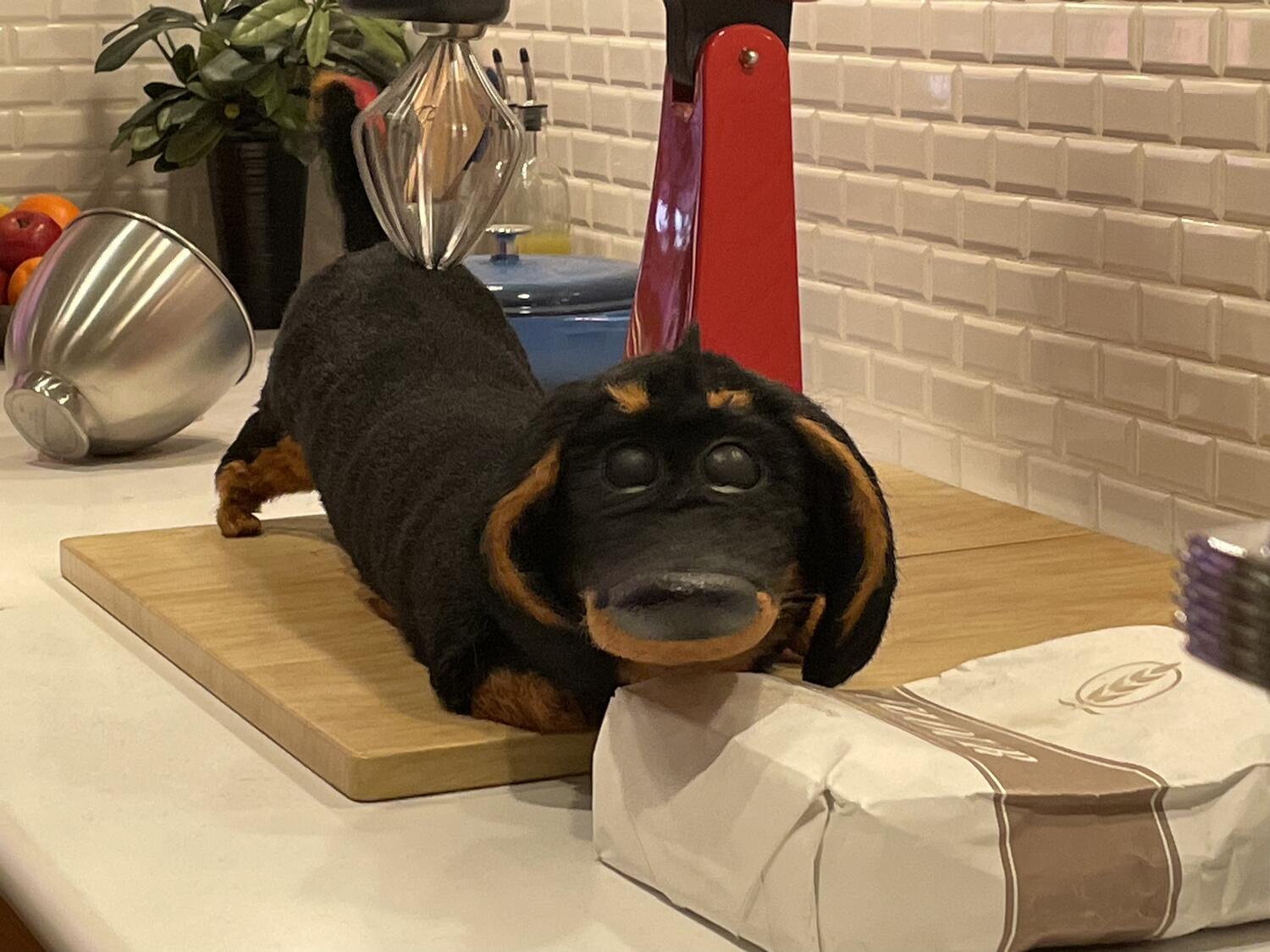 An animatronic dachsund getting a butt massage from a stand mixer, its eyes half-closed in ecstasy