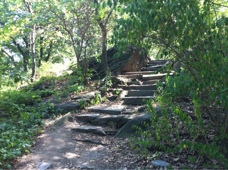 Rough-hewn stone steps leading up a hill in the woods