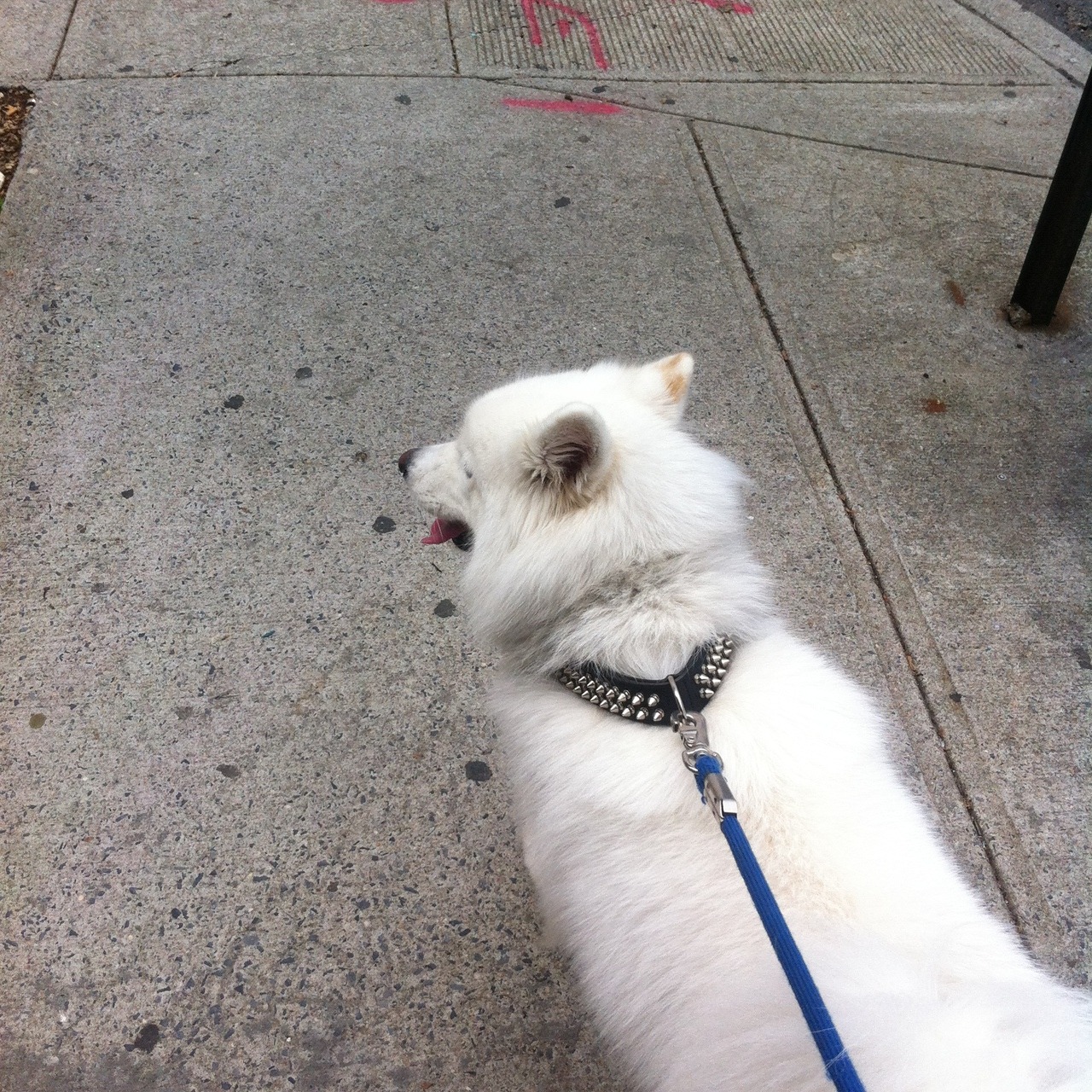 Dailyvision: Monday, May 20 2013