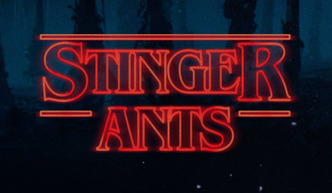 Stinger Ants